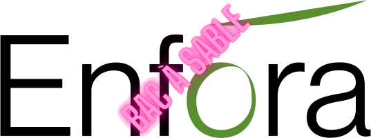 ENFORA - bac à sable